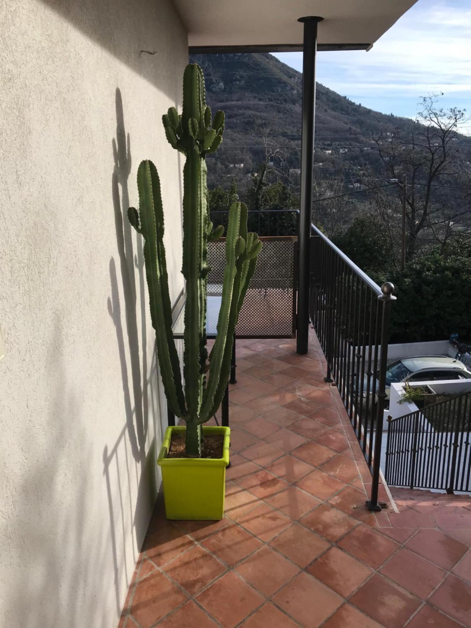Haut De Villa Avec Vue - Le Bar Sur Loup 06 Экстерьер фото
