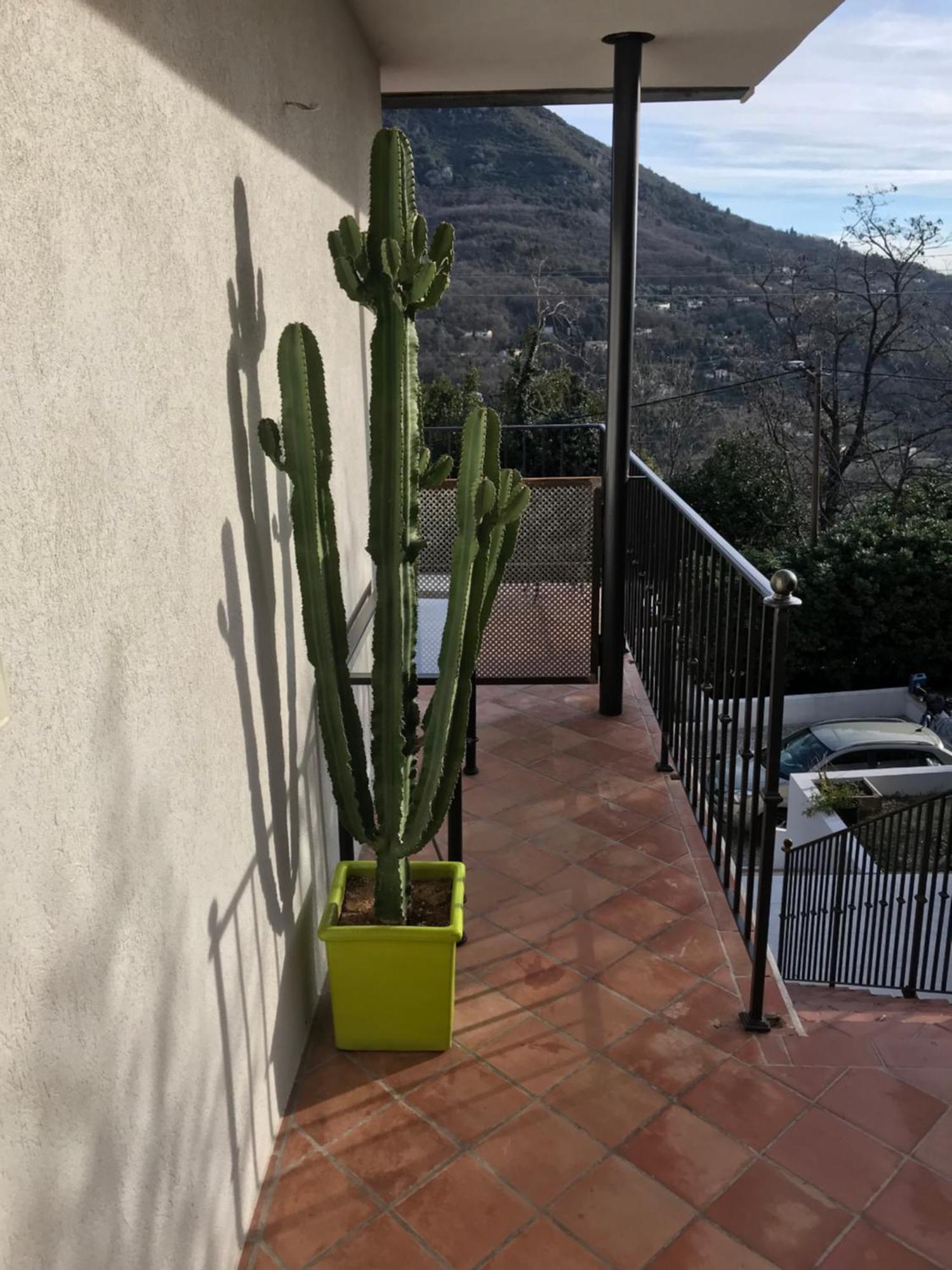 Haut De Villa Avec Vue - Le Bar Sur Loup 06 Экстерьер фото